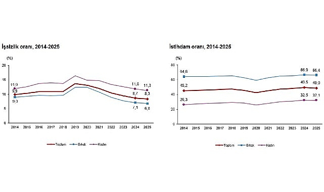 isgucu istatistikleri 2025