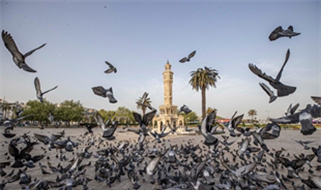 izpa kenti adim adim 2074e tasiyacak