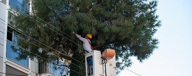 karsiyakada budama seferberligi agaclar bahara hazirlaniyor