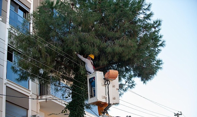 Karşıyaka’da budama seferberliği: Ağaçlar bahara hazırlanıyor 1 karsiyakada budama seferberligi agaclar bahara hazirlaniyor