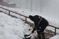 kartepe mesire alaninda ekipler gece gunduz sahada