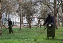 kartepede bahar temizligi yabani ot ve dikenler temizleniyor