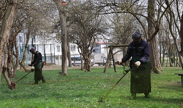 kartepede bahar temizligi yabani ot ve dikenler temizleniyor