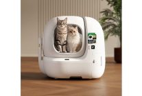 kedilerin gizli dunyasina yapay zeka mercegi hastaliklar artik saklanamiyor