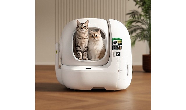 kedilerin gizli dunyasina yapay zeka mercegi hastaliklar artik saklanamiyor