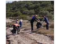 lastikler naylon atiklar ve cam siseler cevre gonulluleri tarafindan titizlikle toplandi