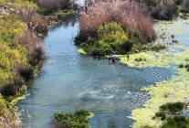 manisa buyuksehir belediyesinden vektorle mucadelede yogun mesai