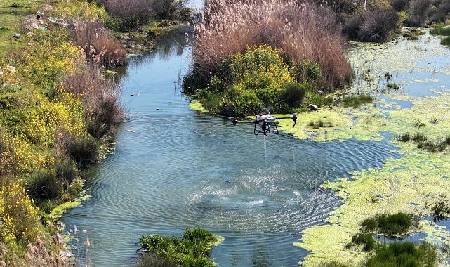 manisa buyuksehir belediyesinden vektorle mucadelede yogun mesai