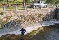 mevsimsel sinekler zararsiz