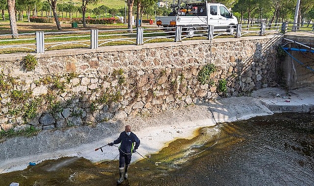 mevsimsel sinekler zararsiz