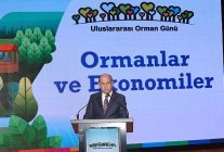 ormanlarin ekonomik gucune dikkat cekildi