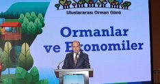 ormanlarin ekonomik gucune dikkat cekildi