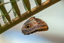 selcuklu belediyesi ramazan bayramina hazir