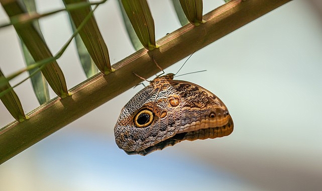 selcuklu belediyesi ramazan bayramina hazir