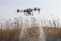 sivrisinek ve zararlilara karsi izmir modeli