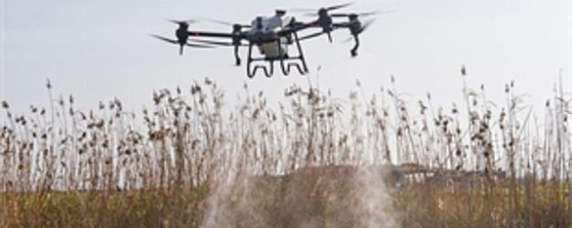 sivrisinek ve zararlilara karsi izmir modeli