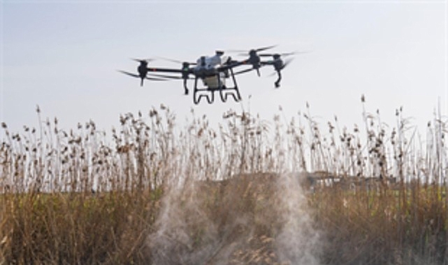 sivrisinek ve zararlilara karsi izmir modeli