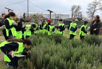 urunlude doga sevgisi yeseriyor