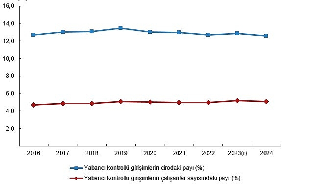 yabanci kontrollu girisim istatistikleri 2024