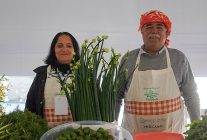 15 uluslararasi alacati ot festivalinde stantlar acildi yarismalar ve etkinlikler hafta sonu boyunca suruyor