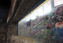 30 farkli akvaryum essiz bir gezi yasatacak