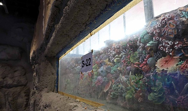 30 farklı akvaryum eşsiz bir gezi yaşatacak 1 30 farkli akvaryum essiz bir gezi yasatacak