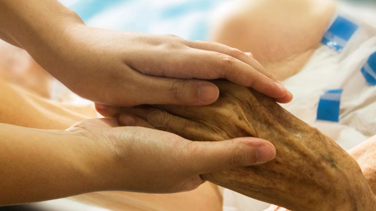 WhatsApp Image 2022 03 15 at 10.51.10