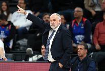 anadolu efes partizan mesaisinde
