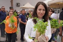 atalik tohumdan gelecege