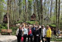 baharin en guzel hali ormanyada yasaniyor