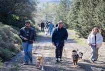 barinaklardan 3 binin uzerinde hayvan sahiplendirildi