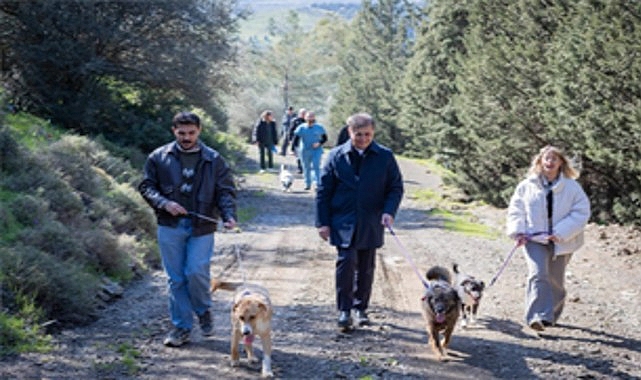 barinaklardan 3 binin uzerinde hayvan sahiplendirildi