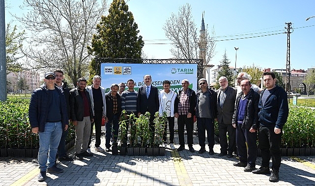 baskan altay bu yil ciftcimize 31 420 meyve fidani desteginde bulunduk