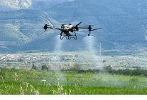 baskan cercioglunun tarima ve ureticilere destekleri suruyor tarlalar drone ile ucretsiz gubreleniyor