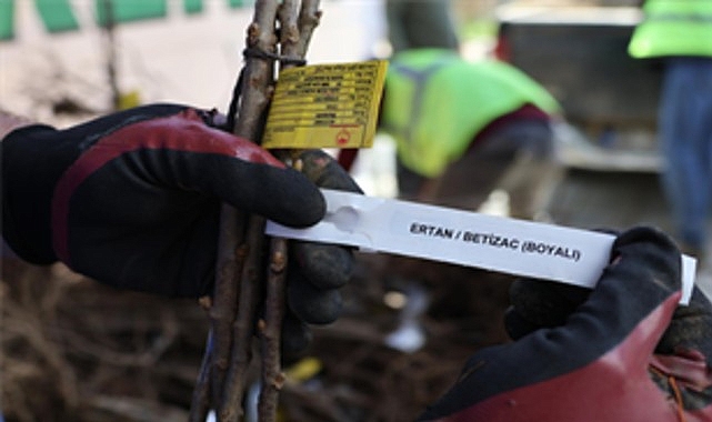 beydagli ureticiye cifte destek