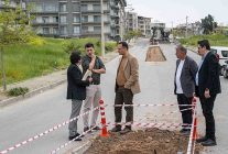 bornovada varyanta nester