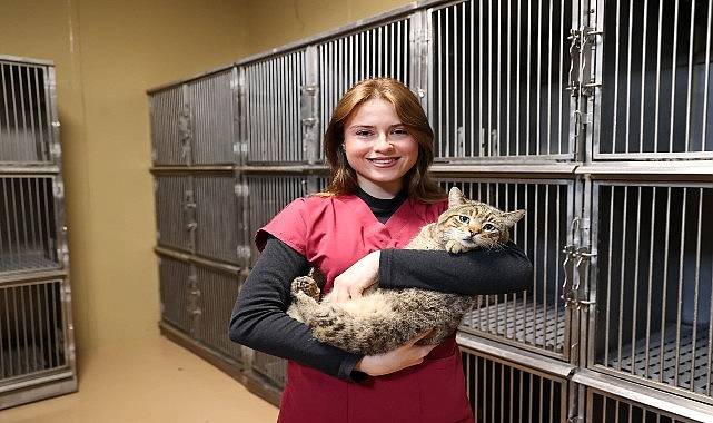 bucada 599 patili dost sicak yuvaya kavustu