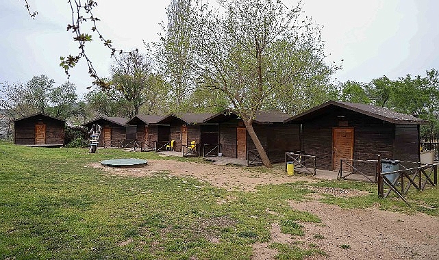 bucada dogayla ic ice sosyal hizmet dere kafe