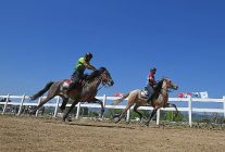 bursanin fethinin 700uncu yilinda rahvan at yarislari heyecani