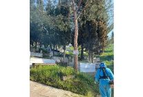 buyuksehir manevi degerlere sahip cikiyor