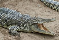 buyuksehirden cocuklara bayram hediyesi