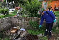 buyuksehirden sinek ureme alanlarinda yogun calisma