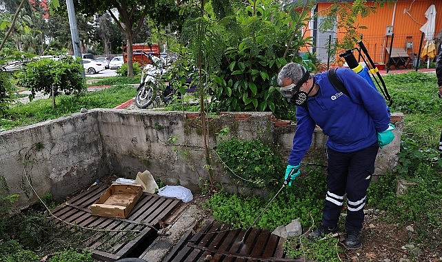 buyuksehirden sinek ureme alanlarinda yogun calisma