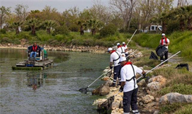 cakalburnu lagununden korfeze yayilan yosunlara yogun mudahale