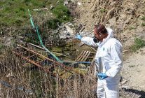 cankayada ilaclama calismalari hizlandi