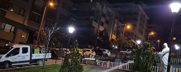 cankayada sinek ve hasereye karsi gece mesaisi