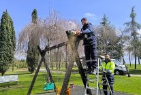 cocuklar sekaparkta yazi doya doya yasayacak