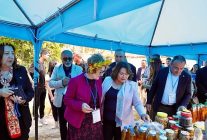 didimde ege lezzetleri festivali icin geri sayim basladi