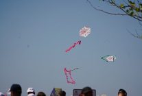 edremit belediyesi geleneksel ucurtma senligi yapildi