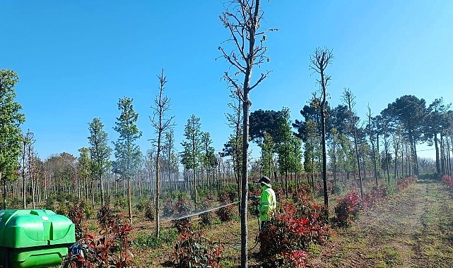 fidanlara koruyucu mudahale